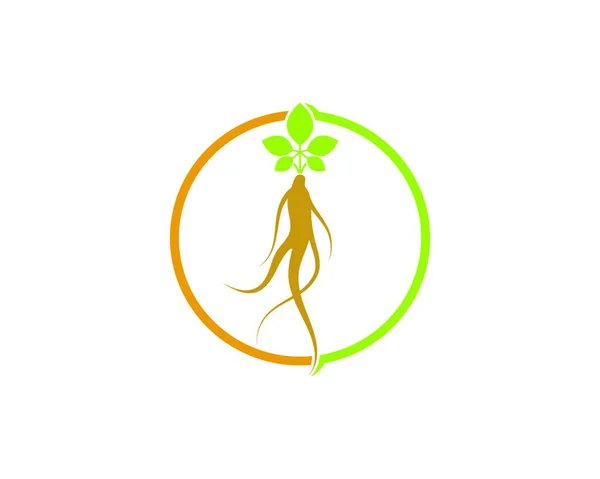 Ginseng Illustration Symbol Vektor Design Vorlage — Stockvektor