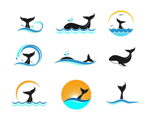 Walvis Staart Pictogram Vector Illustratie Ontwerp Template — Stockvector