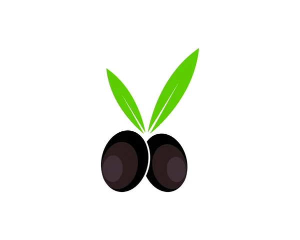 Oliveira Logotipo Ícone Vetor Ilustração Design —  Vetores de Stock