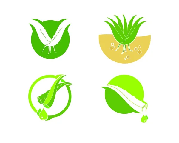 Aloevera 徽标图标矢量插图设计模板 — 图库矢量图片