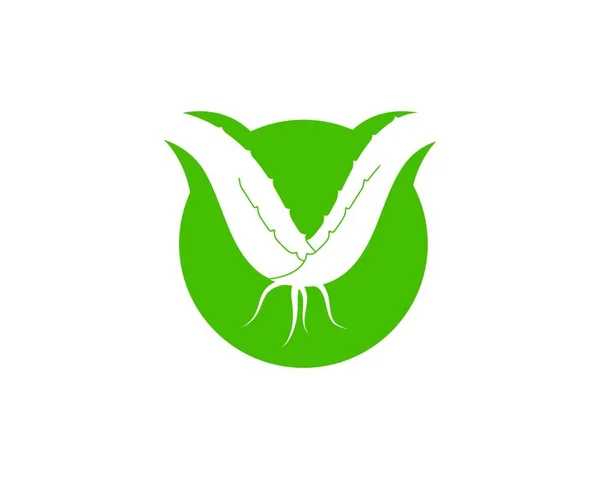 Aloevera Logo Icono Vector Ilustración Diseño Plantilla — Archivo Imágenes Vectoriales
