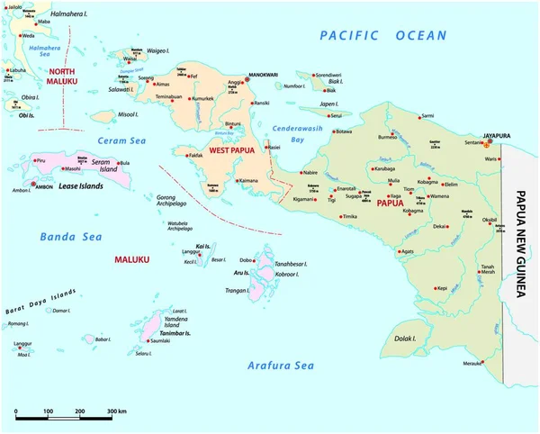 Vectorkaart Van Indonesische Provincies Papoea West Papoea — Stockvector