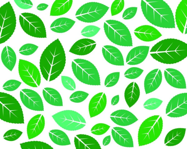 绿叶生态自然元素背景矢量图标的绿色设计 — 图库矢量图片