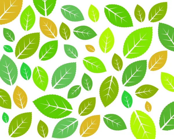 Yeşil Yaprak Ekolojisi Doğa Element Vektör Simgesi Yeşil Tasarım — Stok Vektör