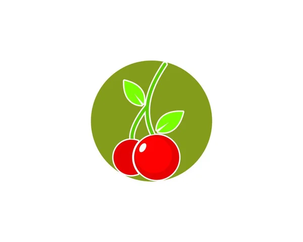 Cherry Fruit Icon Vector Illustration Template — Stock Vector