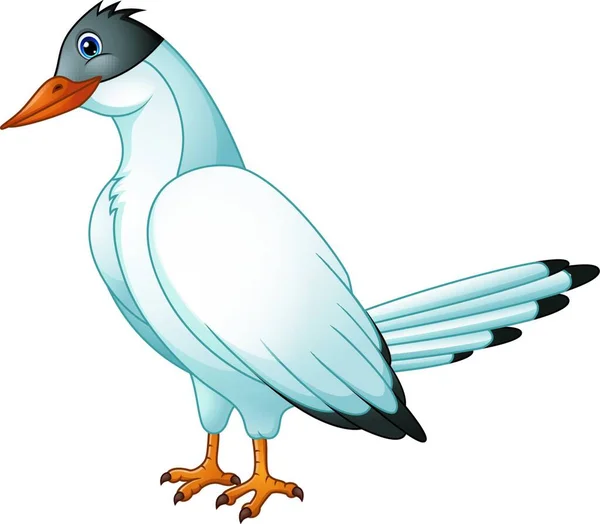 Illustration Vectorielle Dessin Animé Cute Bird Tern — Image vectorielle