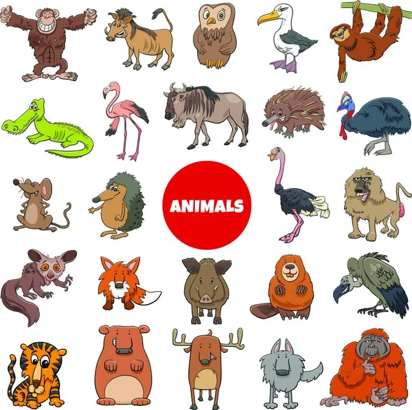 Dibujos Animados Ilustración Personajes Divertidos Animales Salvajes Gran Conjunto — Archivo Imágenes Vectoriales