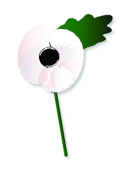 Amapola Blanca Típica Con Hoja Tallo Sobre Fondo Blanco — Vector de stock