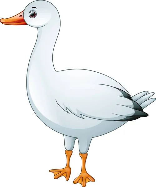 Vector Illustration Cute White Goose Cartoon — Stock Vector