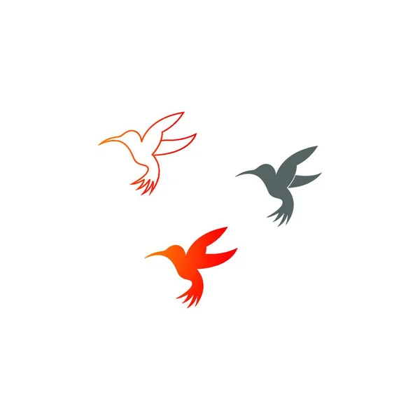 Kuş Logo Şablonu Vektör Simge Illüstrasyon Tasarımı — Stok Vektör