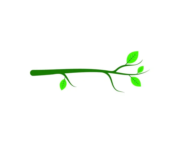 Vert Feuille Écologie Nature Élément Fond Vecteur Icône Green Design — Image vectorielle