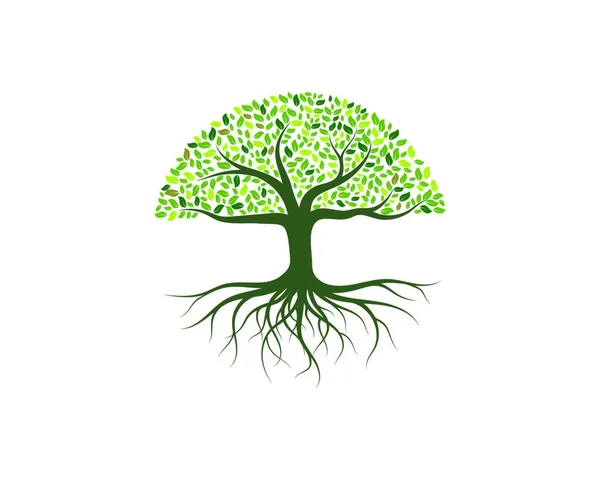 Árvore Logotipo Vetor Ilustração — Vetor de Stock