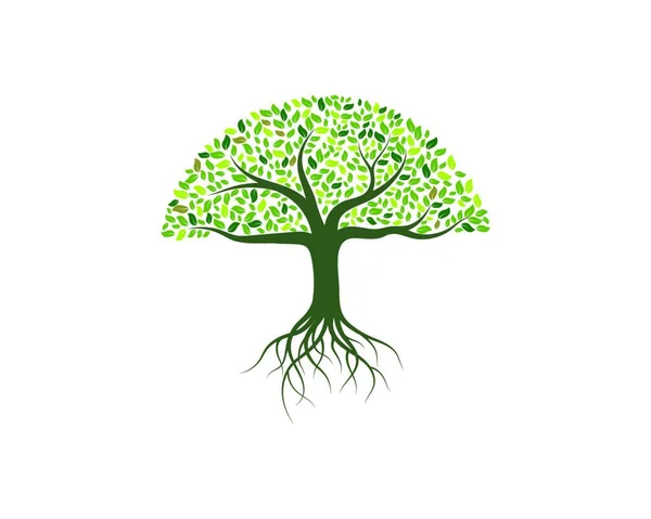 Árbol Logo Vector Icono Ilustración Diseño — Vector de stock