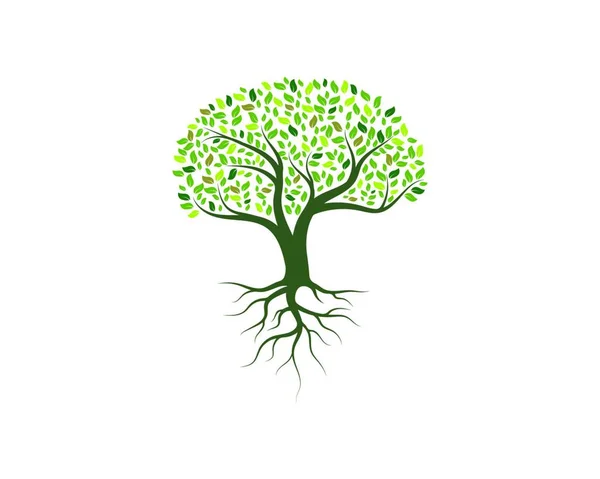 Tree Icon Logo Template Vector Design — ストックベクタ