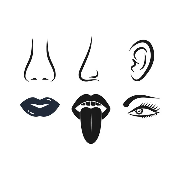 Nose Ear Eye Lips Tongue Vector Icon Human Senses Illustration — Stock Vector