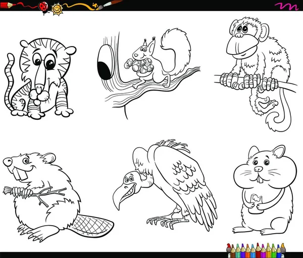 Dibujos Animados Blanco Negro Ilustración Animales Especies Personajes Cómicos Set — Vector de stock