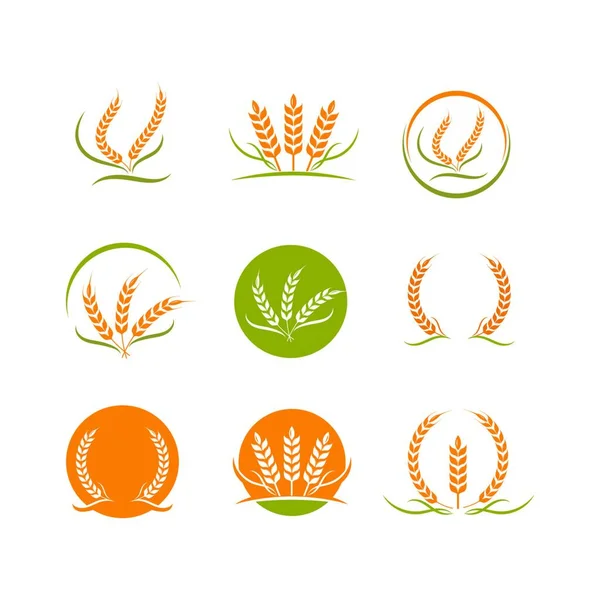 Landwirtschaft Weizen Vektor Symbol Illustration Design Vorlage — Stockvektor