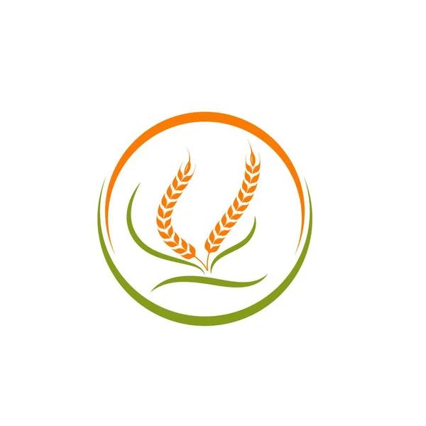 Agriculture Wheat Vector Icon Illustration Design Template — Stock Vector