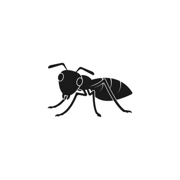 Ant Vector Icon Illustration Design Template — Stock Vector