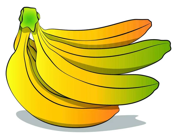 Куча Банановых Векторных Иллюстраций Comic Book Cartoon Style Art — стоковый вектор