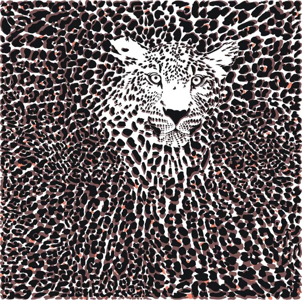 Vektor Illustration Hintergrund Leopardenfelle Und Kopf — Stockvektor