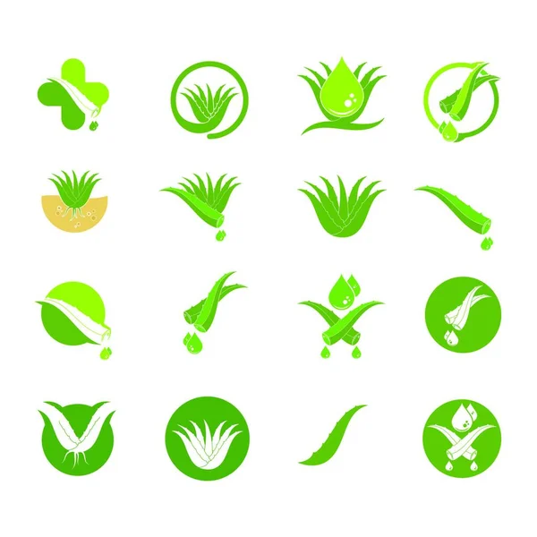 Aloevera Logo Icono Vector Ilustración Diseño Plantilla — Vector de stock