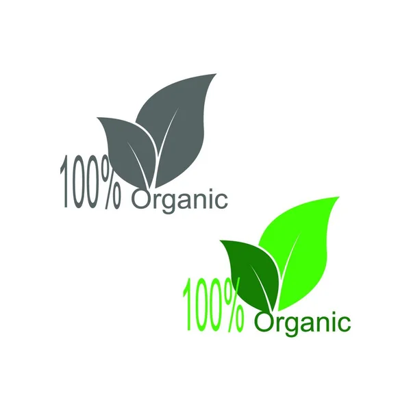 100 Icona Naturale Vegan Organico Anniversario Modello Illustrazione Disegno Dell — Vettoriale Stock