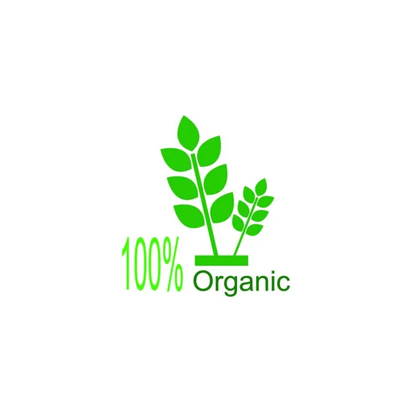 100 Icona Naturale Vegan Organico Anniversario Modello Illustrazione Disegno Dell — Vettoriale Stock