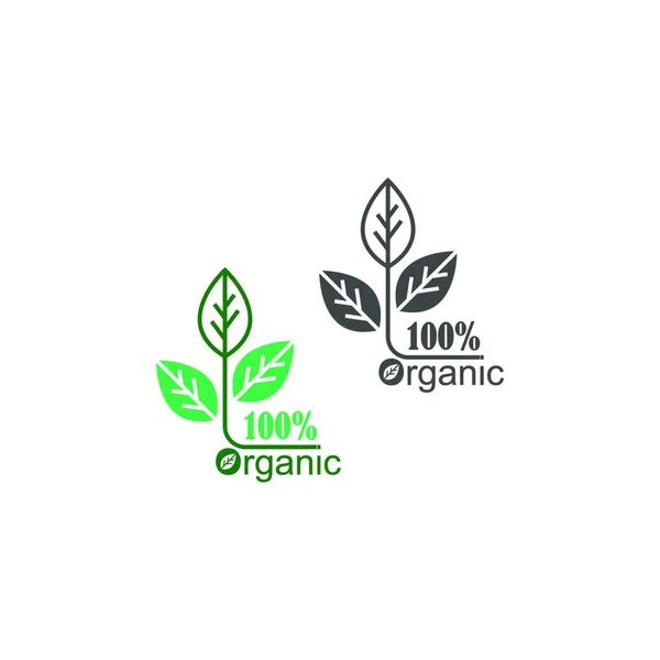 100 Icona Naturale Vegan Organico Anniversario Modello Illustrazione Disegno Dell — Vettoriale Stock