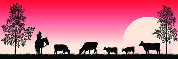 在草地上放牧奶牛 一个骑马的人树 日落了农村景观 — 图库矢量图片