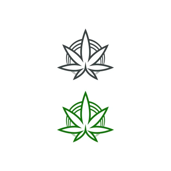 Esrar Yaprağı Logo Şablonu Vektör Illüstrasyonu — Stok Vektör