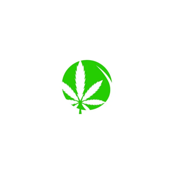 Cannabis Leaf Logo Design Vector Template Illustration — Stock Vector