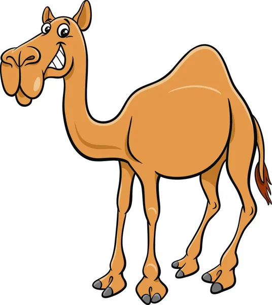 Desenhos Animados Ilustração Dromedary Camelo Personagem Animal Cômico —  Vetores de Stock