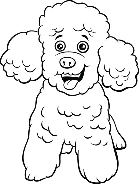 Desenho Animado Preto Branco Ilustração Brinquedo Poodle Puro Cão Personagem — Vetor de Stock