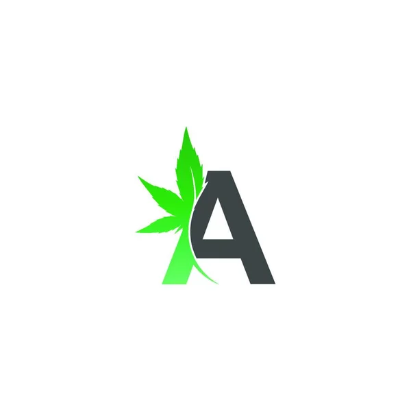 Letra Icono Logotipo Con Ilustración Vectores Diseño Hoja Cannabis — Archivo Imágenes Vectoriales