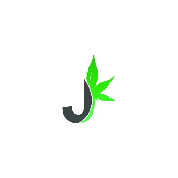 Letra Icono Del Logotipo Con Diseño Hoja Cannabis Vector Ilustración — Vector de stock