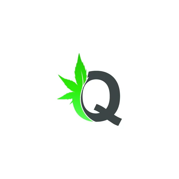 字母Q图标与大麻叶设计矢量插图 — 图库矢量图片