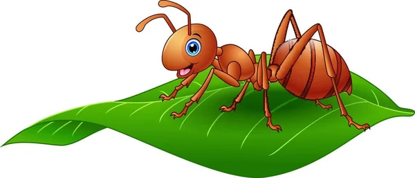 Vektör Çizim Karikatür Karınca Yaprak Üzerinde — Stok Vektör