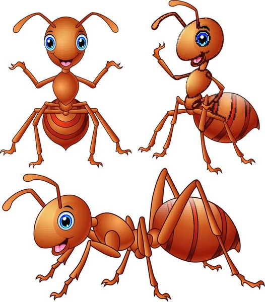 Vector Illustration Set Brown Ants Cartoon — Stock Vector