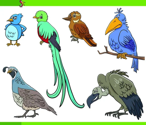 Dibujos Animados Ilustración Aves Animales Personajes Conjunto — Vector de stock