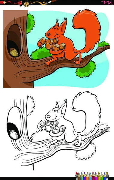 Desenhos Animados Ilustração Esquilo Transportando Bolotas Para Página Livro Colorir —  Vetores de Stock
