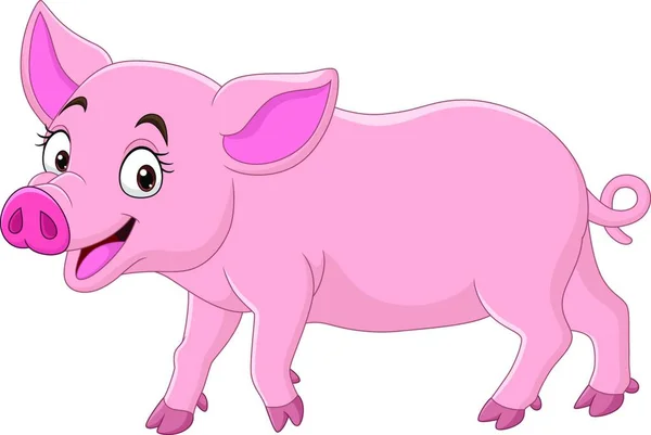 Rysunek Ilustracja Cute Świnia — Wektor stockowy