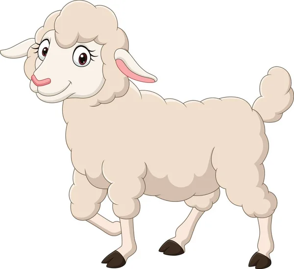 Illustration Moutons Mignons Avec Fond Blanc — Image vectorielle