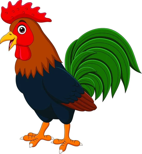 Vector Illustration Cute Cartoon Rooster — Stock Vector