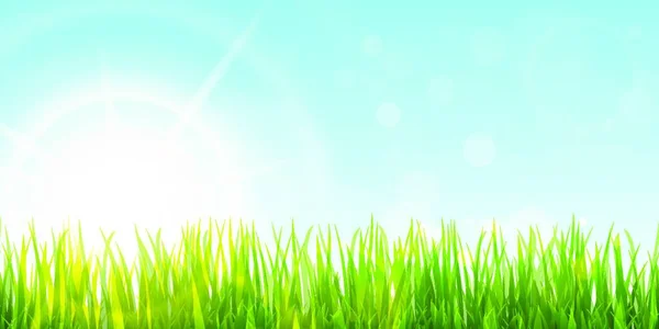 Epsベクトル背景テンプレート夏や春のデザインのための太陽光ビームと下側のパノラマ緑の芝生のファイル — ストックベクタ