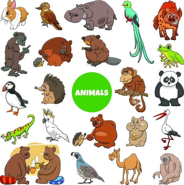 Dibujos Animados Ilustración Personajes Divertidos Animales Salvajes Gran Conjunto — Archivo Imágenes Vectoriales