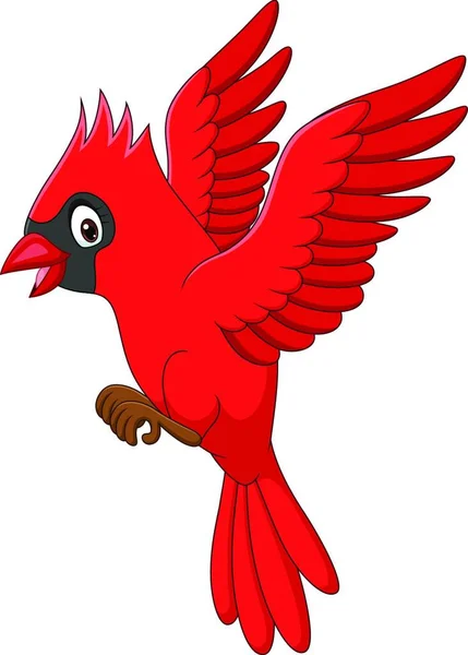 Vector Illustration Red White Bird — Stock Vector