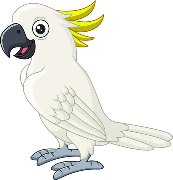 Векторная Иллюстрация Милого Попугая — стоковый вектор