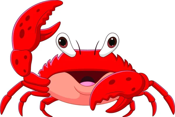 Cute Crab Cartoon Illustration — Stock Vector