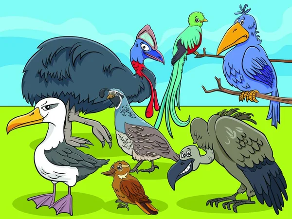 Ilustrace Ptáka Papouškem — Stockový vektor